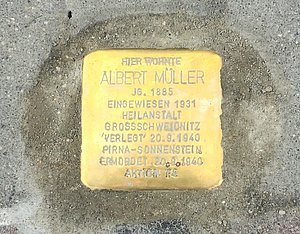 Stolperstein_Albert_Mueller__Zittau__Foto_Thomas_Pilz.jpg